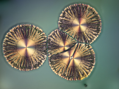 Mikrokristalle (Mischung aus Vitamin C und Coffein)