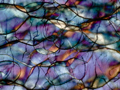 Verpackungsfolie im Polarisationsmikroskop