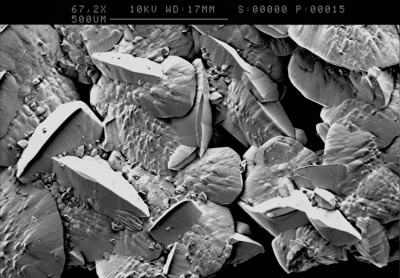 Weinstein im Elektronenmikroskop