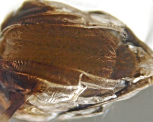 Der Weg in die Freiheit