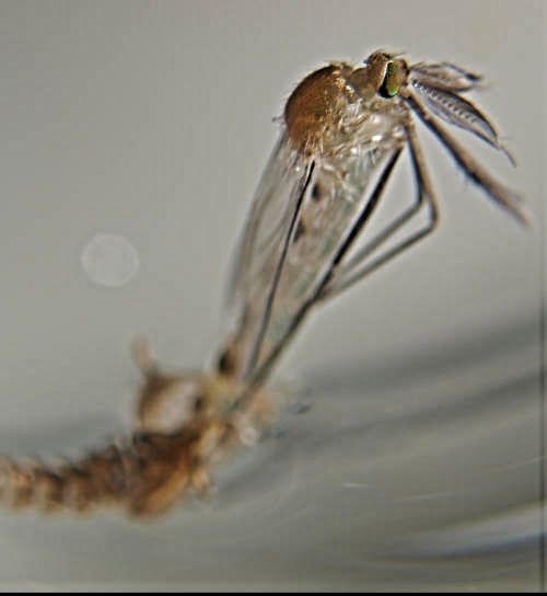 Bald ist es geschafft